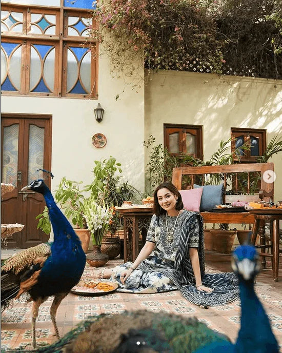 Sapphire Dhanak Embroidered 3 Piece - SP105