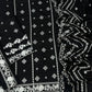 Bareeze Dhanak Embroidered 3 Piece | BZ102
