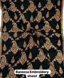 Bareeze Dhanak Embroidered Shawl | BZSL1